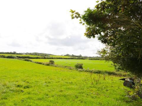 Ty Rhos, Farm Stay, Sleeps 4, Rhoshirwaun 2 Miles From Aberdaron Ngoại thất bức ảnh